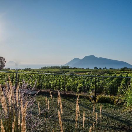 Tenuta Di Castellaro Winery & Resort Липари Екстериор снимка