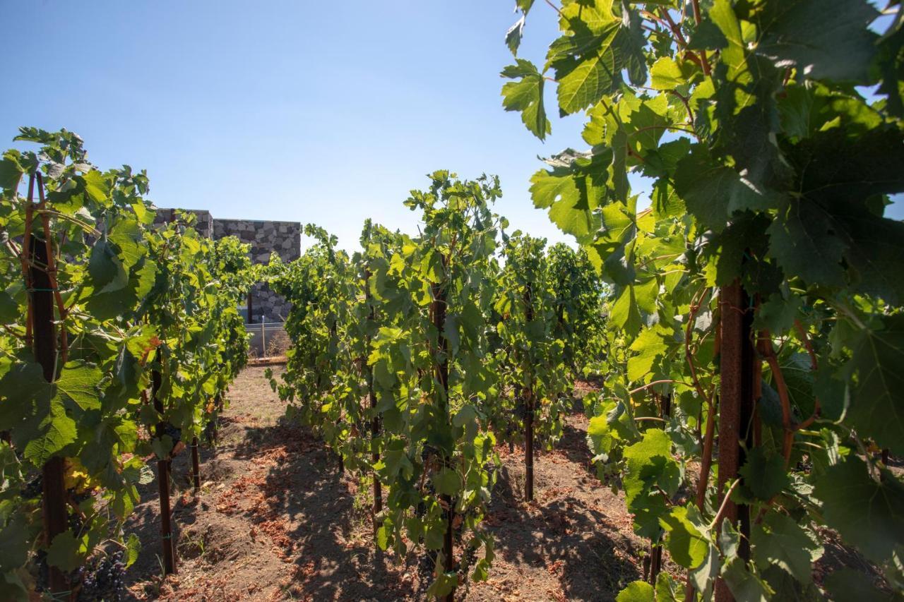 Tenuta Di Castellaro Winery & Resort Липари Екстериор снимка