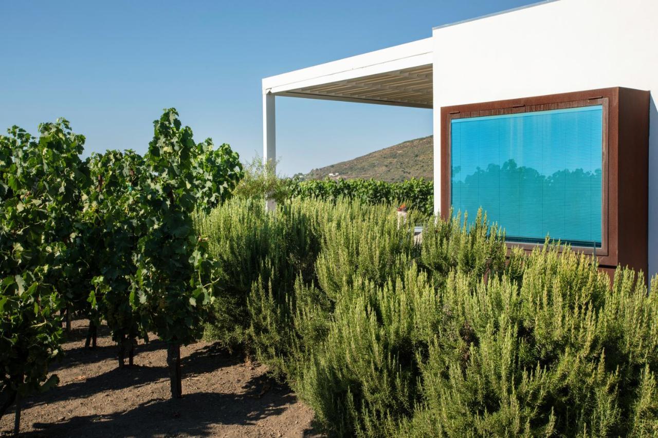 Tenuta Di Castellaro Winery & Resort Липари Екстериор снимка
