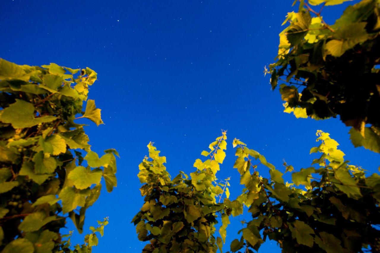 Tenuta Di Castellaro Winery & Resort Липари Екстериор снимка